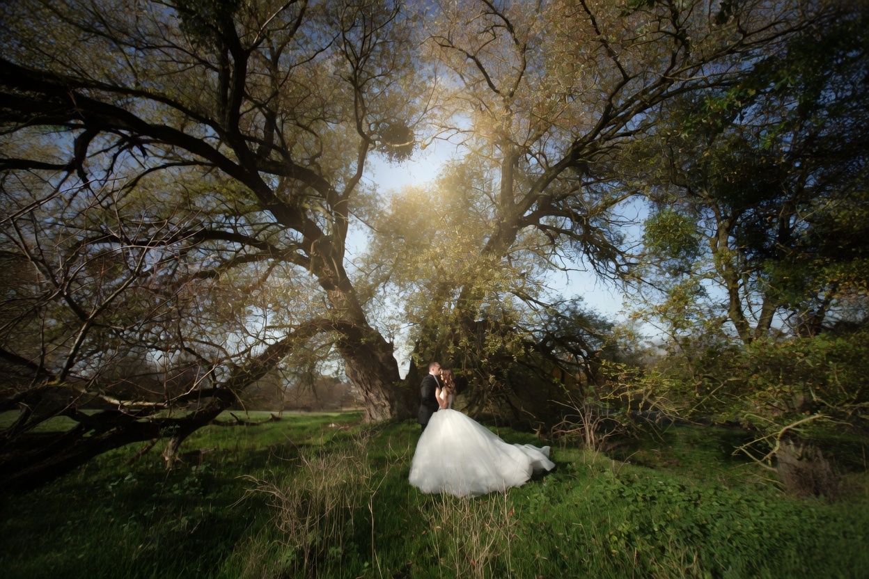 Hochzeitsplanung Schwalm Eder Kreis